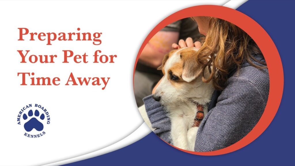 Preparing Your Pet for Time Away