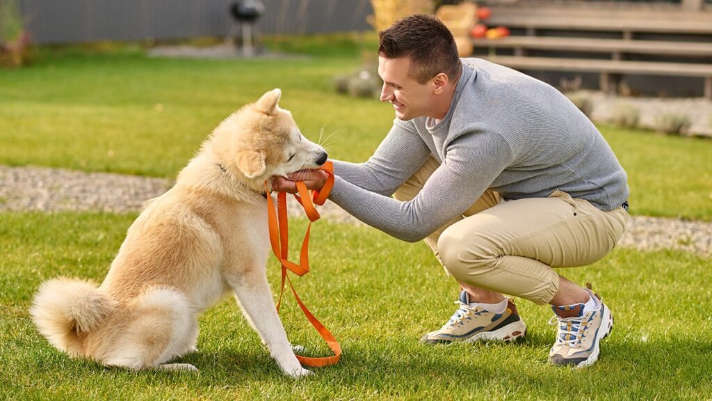 American Boarding Kennels helps you determine which leash is right for your dog