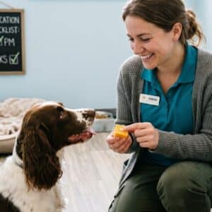 A certified pet care technician monitoring and showing affection to a boarding dog.